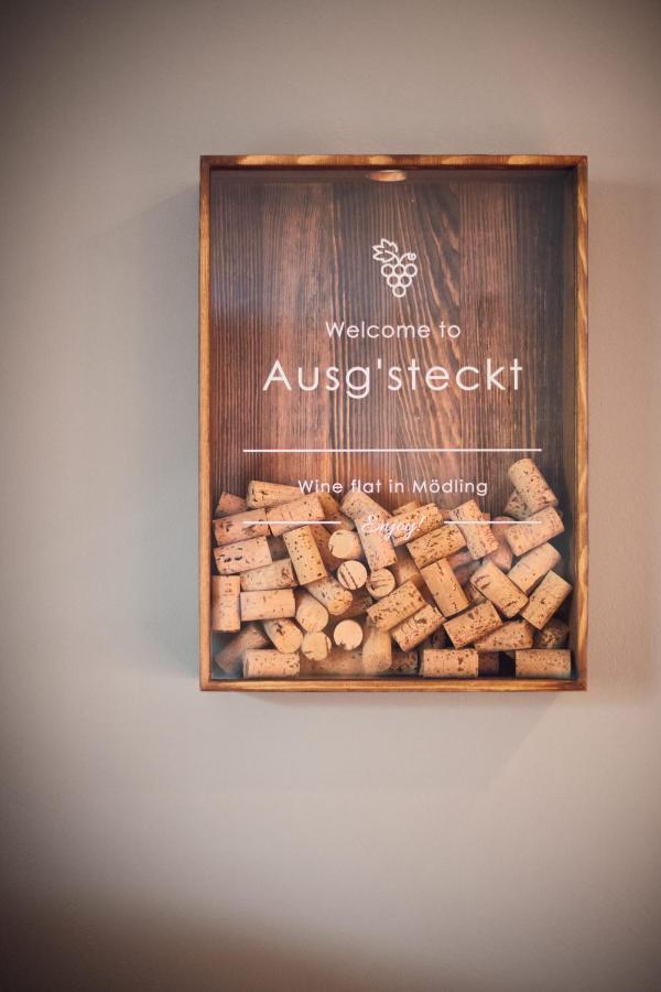 Apartmán Ausg'Steckt - Wine Flat Modling - Great Location Exteriér fotografie